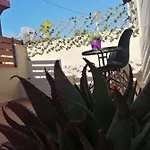 Kazerma ηομε Сasa de vacaciones Rhodes City